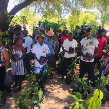 Plant a Tree project launched in Ohangwena