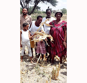 Lack of water, markets hinder Tsumkwe farmers 