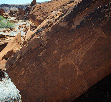 Tour Twyfelfontein virtually