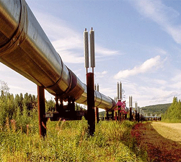 TotalEnergies oil project ‘a disaster’ for Ugandans – HRW