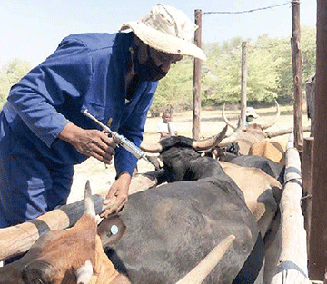 Livestock disease control basics