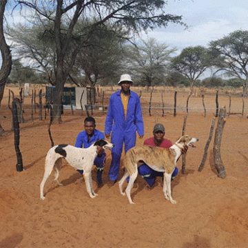 Greyhounds help farmer chase longstanding dream