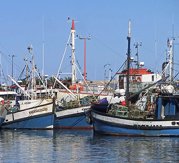 vessels Commission investigates fishing vessel owners