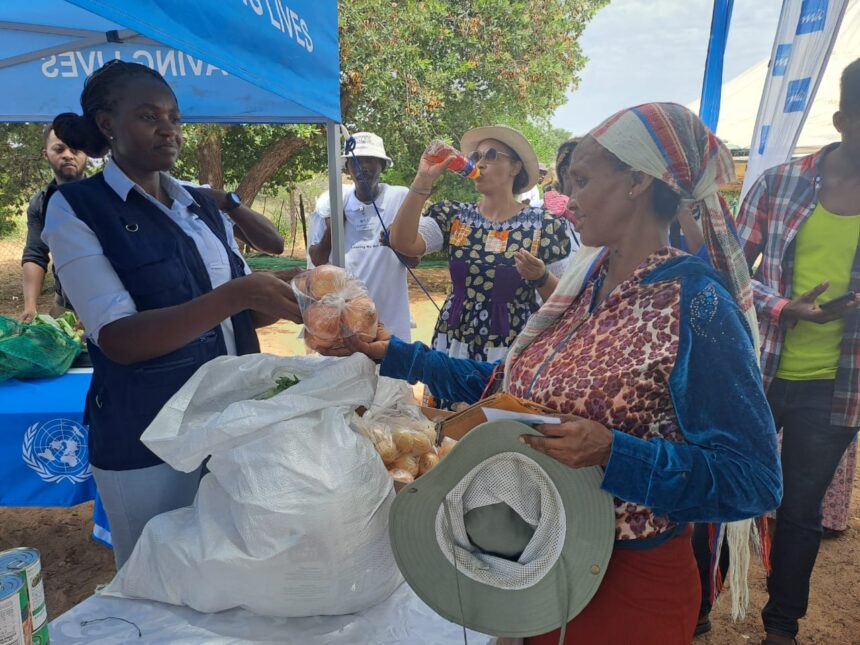 Local authorities receive N$2 million for urban agriculture 