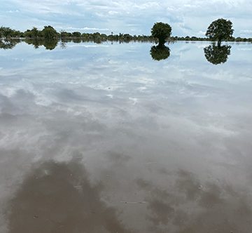 Opendjela ya kalekwa peesenda dimwe molwomeva 