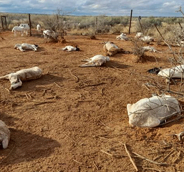 Southern farmers warned of massive cold front