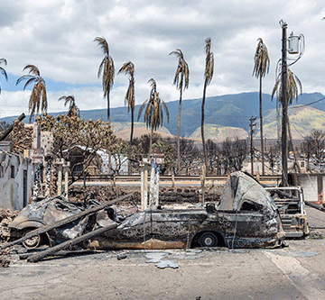 wildfire Hawaii wildfire deaths reaches 100