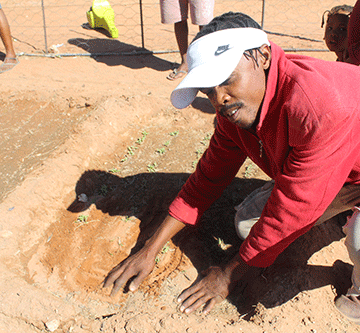 Small backyard garden transforms lives