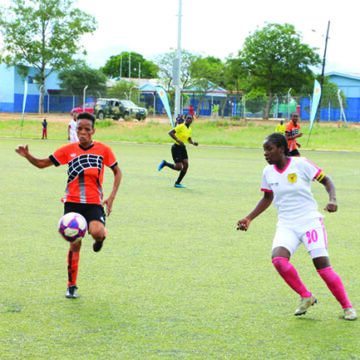 Tura Magic continue with great form