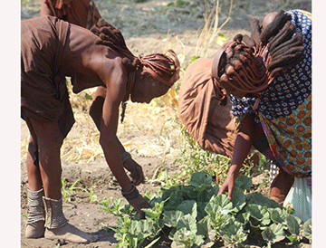 Women farmers to set roadmap into agri-business