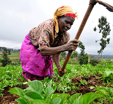 Women & Agri Summit starts tomorrow…talks on gender disparity, financing