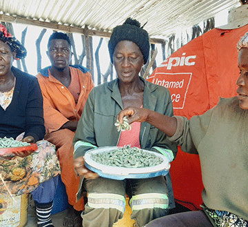 Tava likola okapuka momifitu… Tave lipunguluka nomayoka , eenghoshi nenota lamemememe