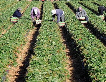 7cf5184f 0f86 4a38 8049 6948bf7c9c69 original Agribank leads in agricultural transformation and inclusivity