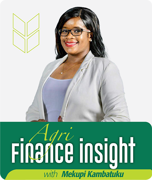 Finance insight with Mekupi Kambatuku – How to separate your personal finance from business finance