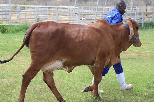 Agribank and biomass group sign deal