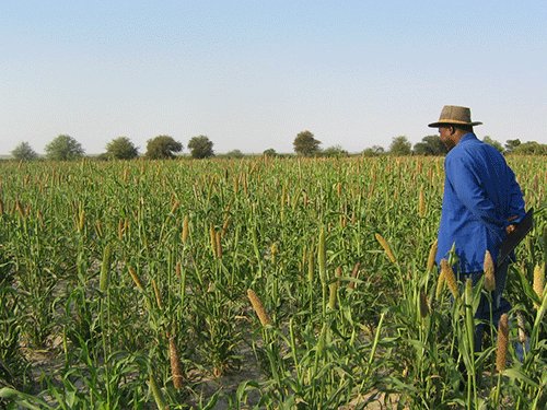 Agri sector remains resilient to challenges