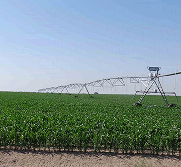 agronomy sector Agronomy sector production declines …import bill at N$300 million