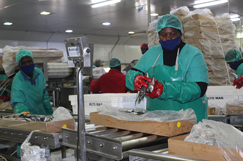 Late quota auction costs government millions