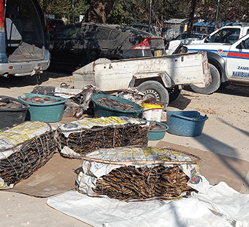 Basilezi batamelwa kuzamaisa litapi isi kamulao