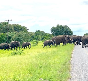 Botswana kuna kuhundira UK vasani vawo vaturepo veta
