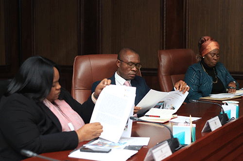 Geingob advises action on 4IR report