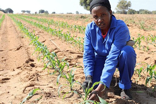 You can’t decide who runs green schemes – Schlettwein