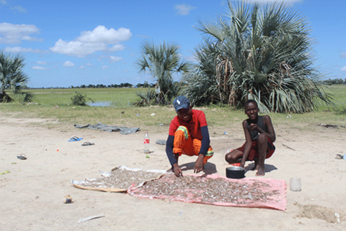 Fish aplenty in Omusati 