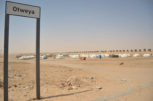 Walvis searches for ‘incorruptible’ CEO