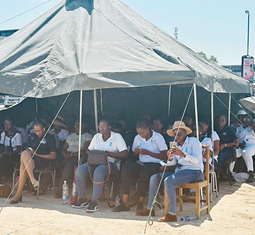 cervical 2 Over 230 women diagnosed with cervical cancer … 135 die from the disease each year