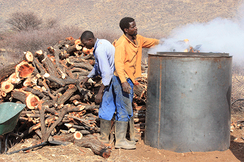 Charcoal producers seek international market entry