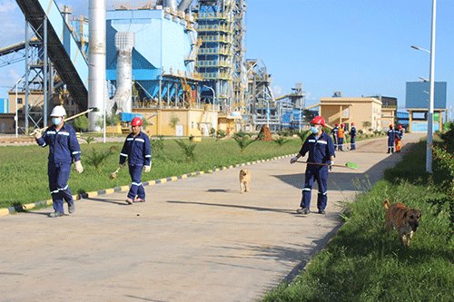 Strike could stop Cheetah in its tracks