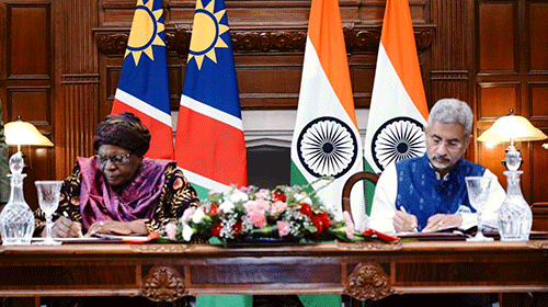 cheetahs India seeks Namibian cheetahs