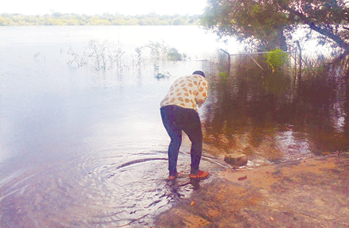 Namibia safe from cholera outbreak