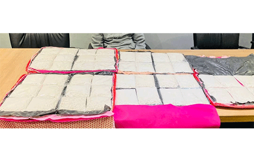 Alleged cocaine smuggler remanded in custody