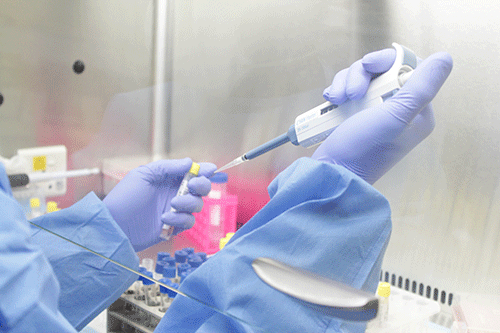 Govt monitors Covid variant closely