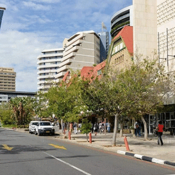 cow ‘Broke’ city promises 15 000 plots