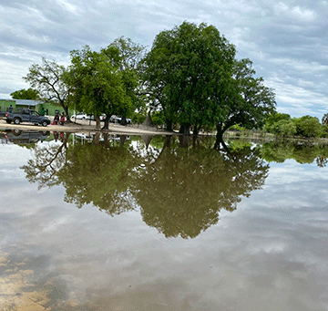 cut off 2 Oosikola anuwa otadhi pata ashike ngele onkalo ya nayipala
