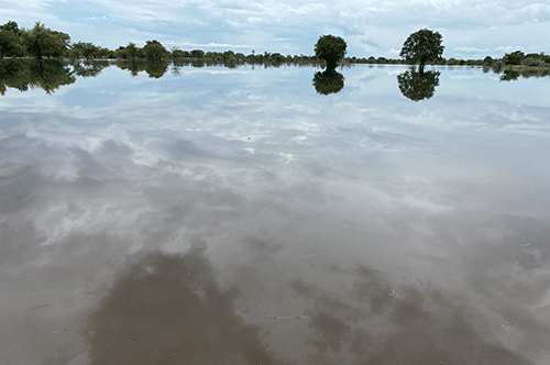 Efundja shuts Ohangwena schools