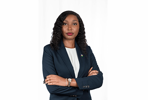 Surging cyberattacks show need for robust security – Theofelus