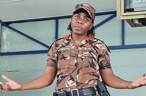 DaFonsech, church   fight over N$6.8m land