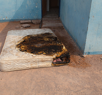 de wee Love triangle families bury the hatchet