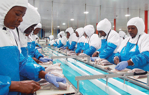 Namibia launches decent work in trade