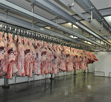 ǂHanub ge supu ǀgaub ai !gameba ǀgorasa ra ǂâi!nâǁgui