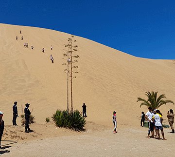 Dune 7 under new management