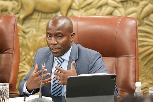 Mnyupe: Little progress in structural development
