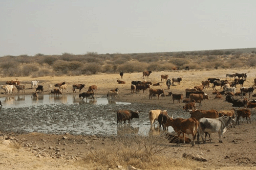 Agriculture and Namibian ecosystems 