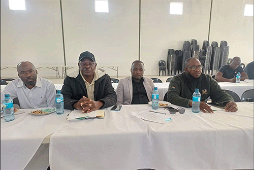 DBN finance spearheads serviced land in Eenhana
