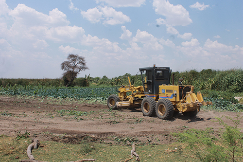 Agro-processing dream still elusive