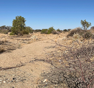 Rural Erongo’s pipes run dry