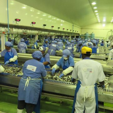 Pilchard moratorium could sink Etosha Fishing…480 workers face the chop